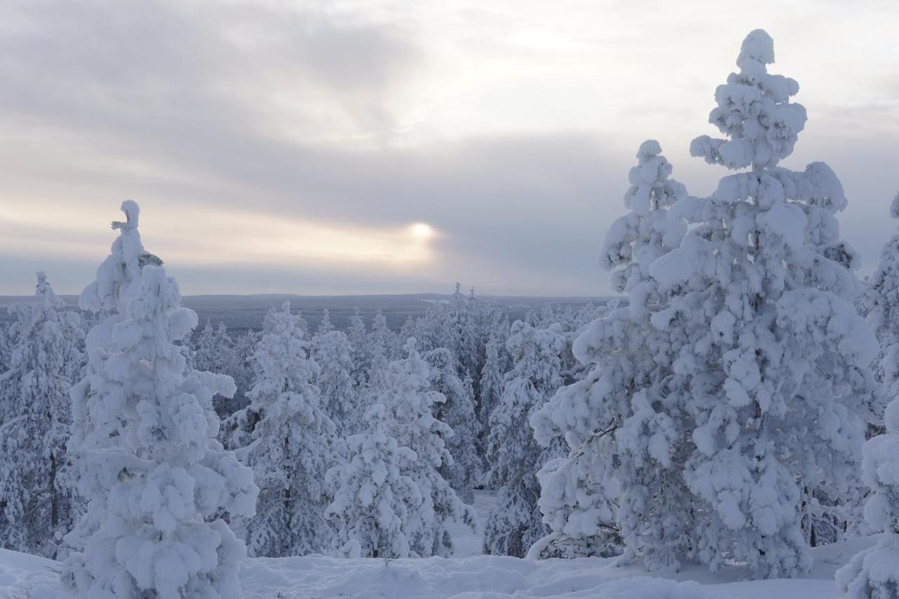 Arctic City Nest Ροβανιέμι Εξωτερικό φωτογραφία
